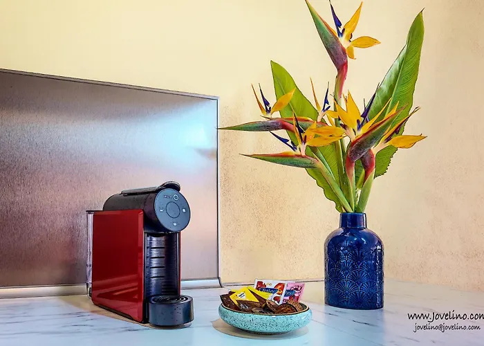 Estrela Do Mar דירה אלבופיירה